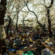 Residents picnic under cherry blossoms in Ueno Park in Tokyo.